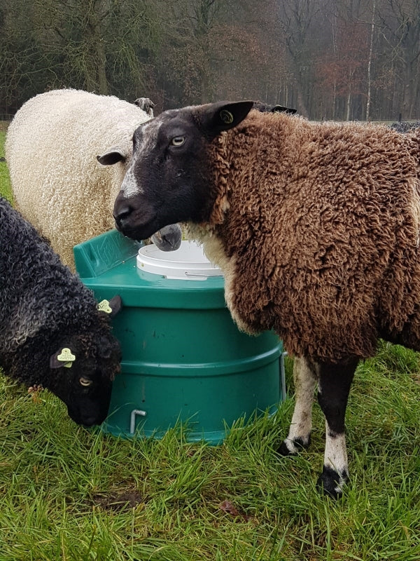 Frostschutztränke/ Frostschutzeimer / JFC Thermoeimer