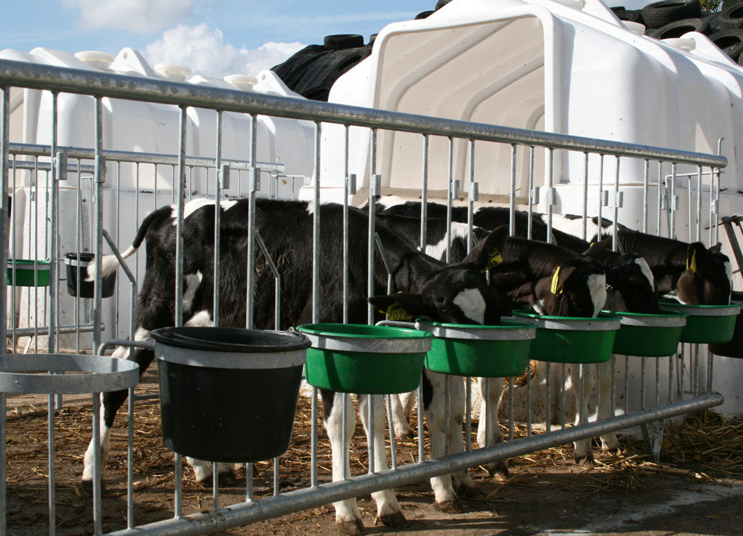 Gruppeniglu 6–8 Kälber von JFCAGRI – Robust & Hygienisch
