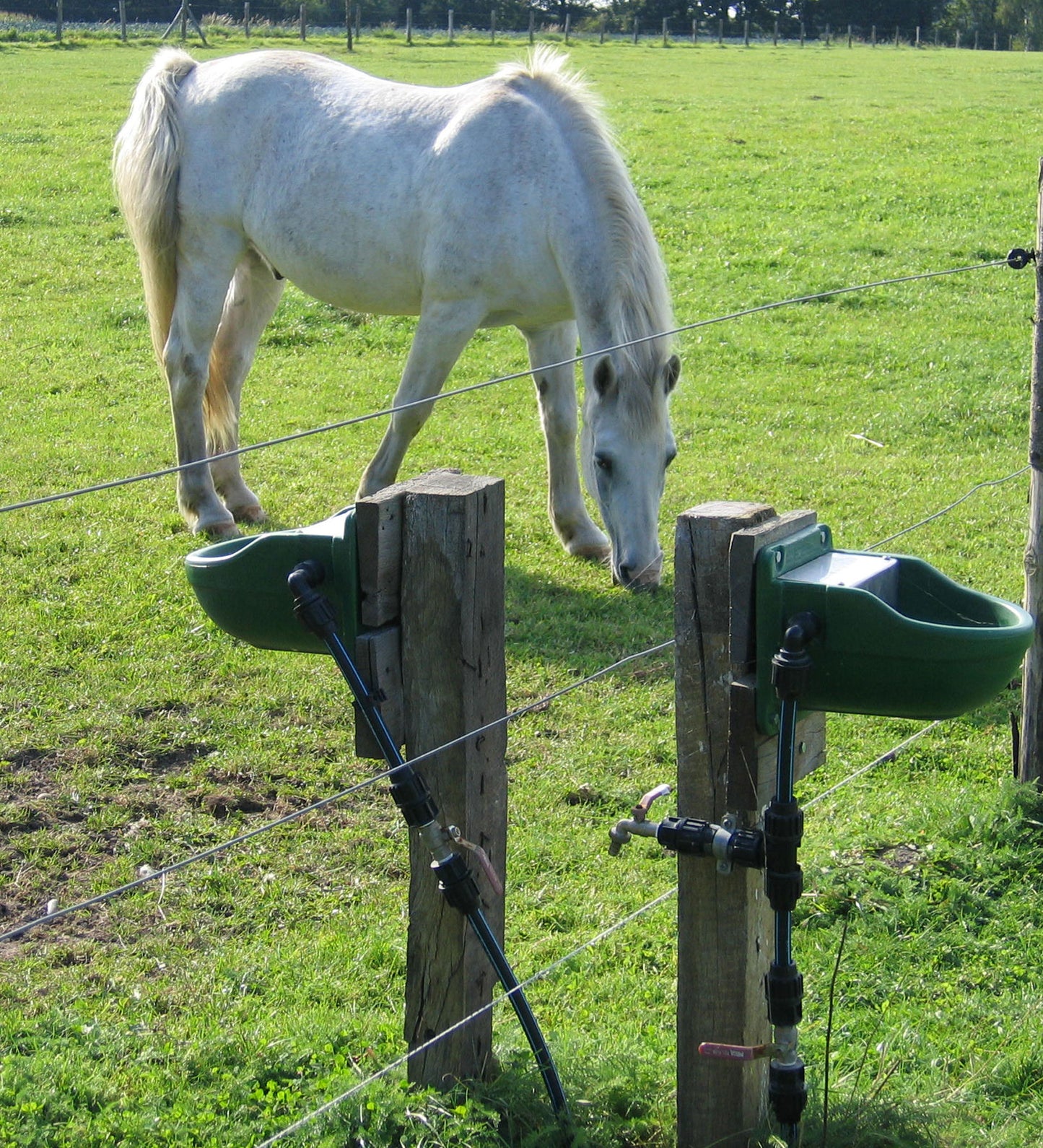 Doppelwandiges  Schwimmertränkebecken