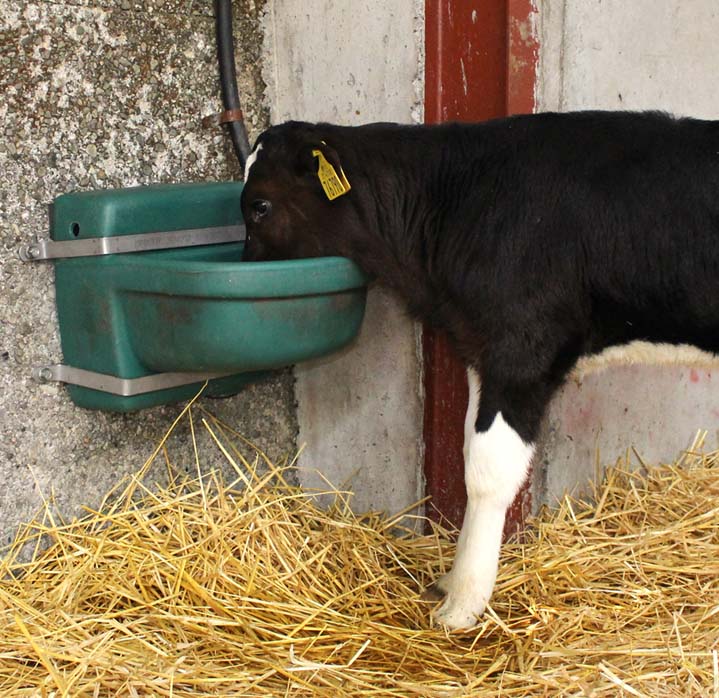 Schwimmertränke fürOffen- und Laufstall JFC DBL 16 L