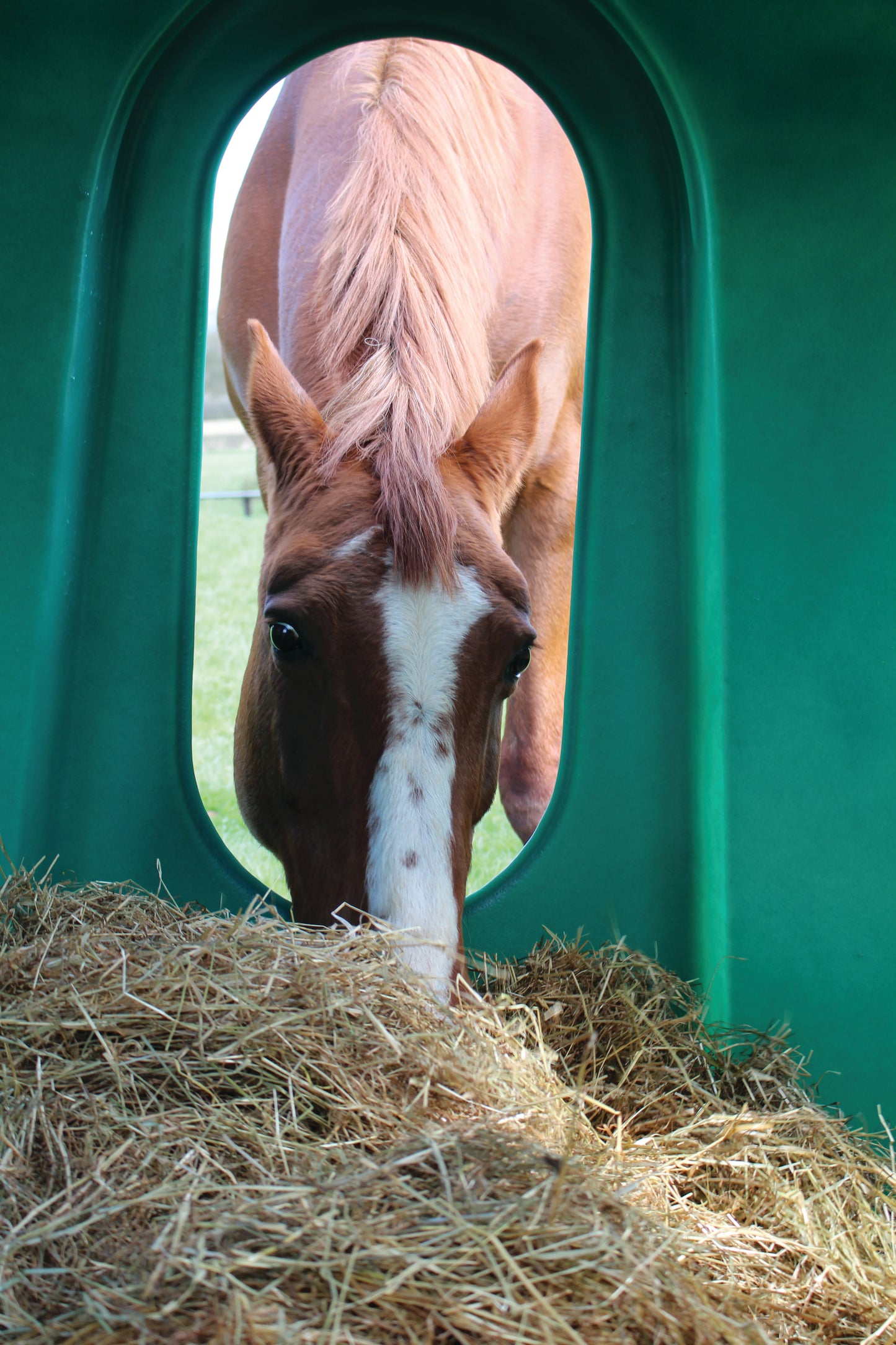Heuglocke für Pferde 180cm - Wetterfeste Rundballenraufe aus Kunststoff