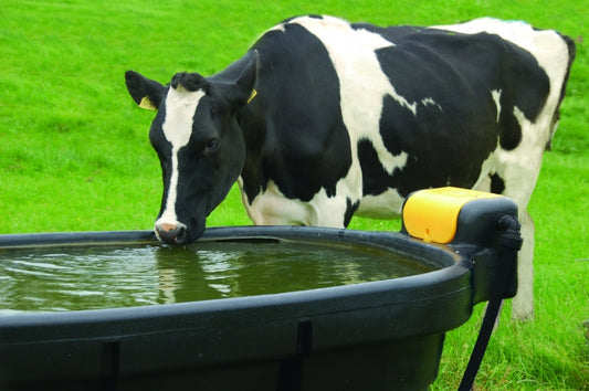 Weidetränken  von JFC DT450/DT600 Sommerausverkauf für immer ausreichend Wasser