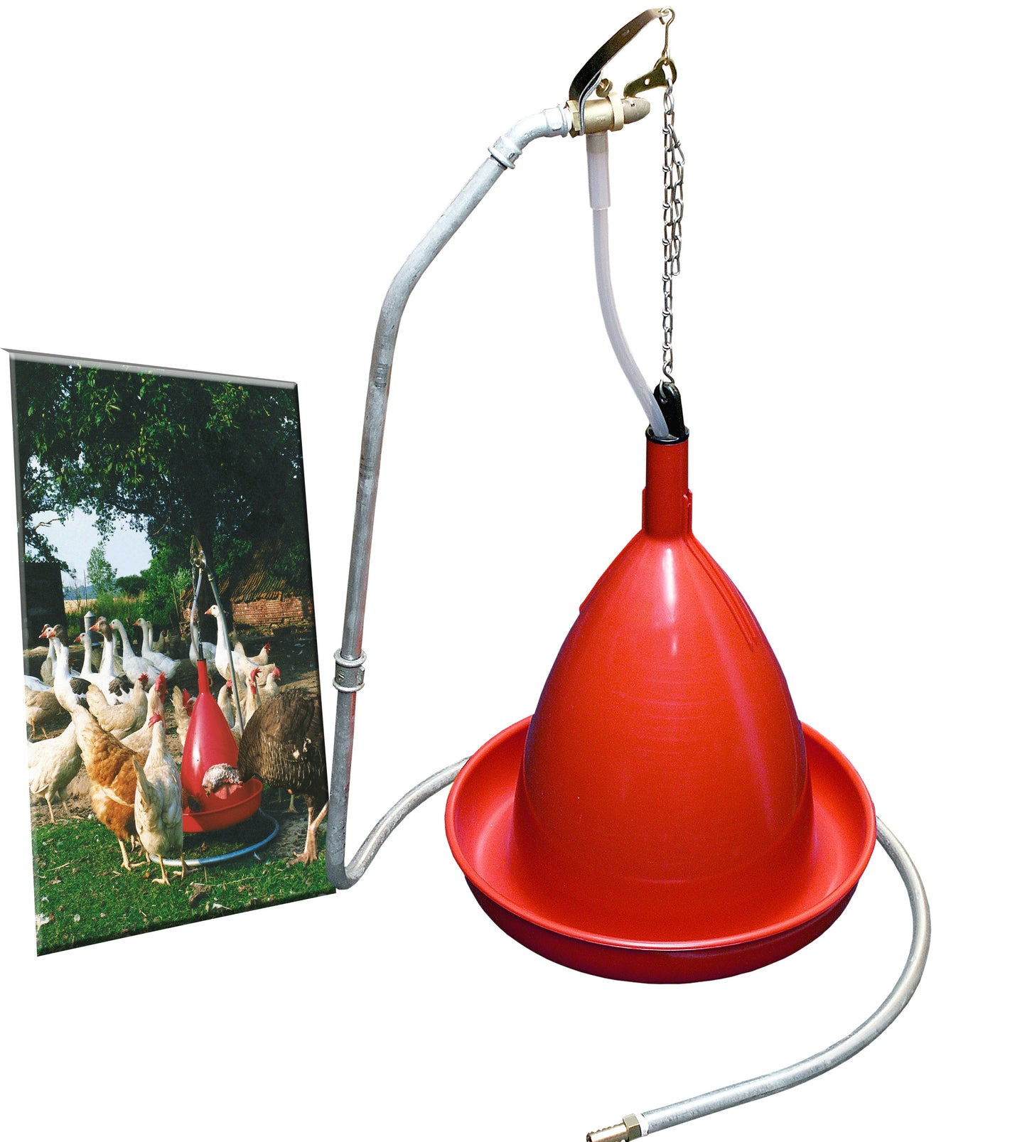 Geflügeltränke für Freiland und Stall direkt an die Wasserleitung PVA Ständertränke