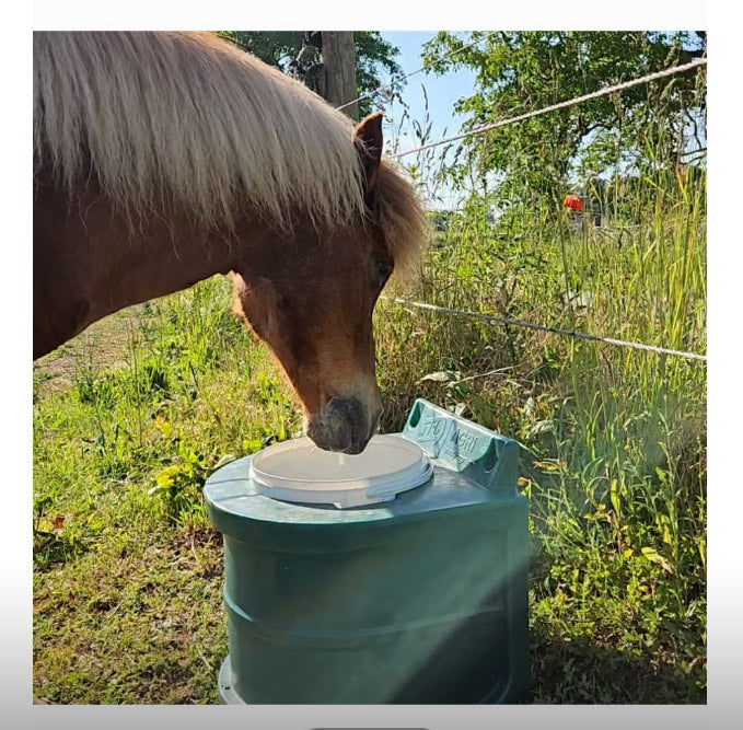 Frostschutztränke/ Frostschutzeimer kühles Wasser im Sommer