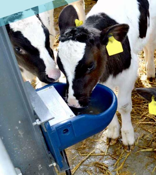 Tränken für Stall und Weide