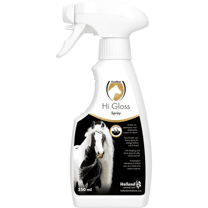 Excellent - Hi Gloss Spray
