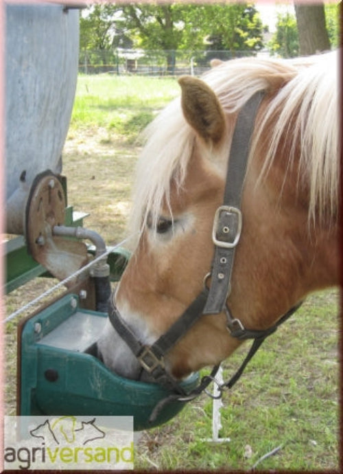 Weide Anbaufass- Schwimmertränke DBL4-N