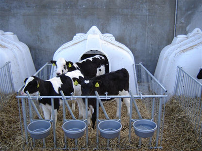JFC AGRI Gruppeniglus – Platz & Schutz für Ihre Kälber