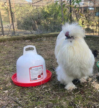 Hühnertränke Doppelzylindertränke CLEAN 3l für Geflügel