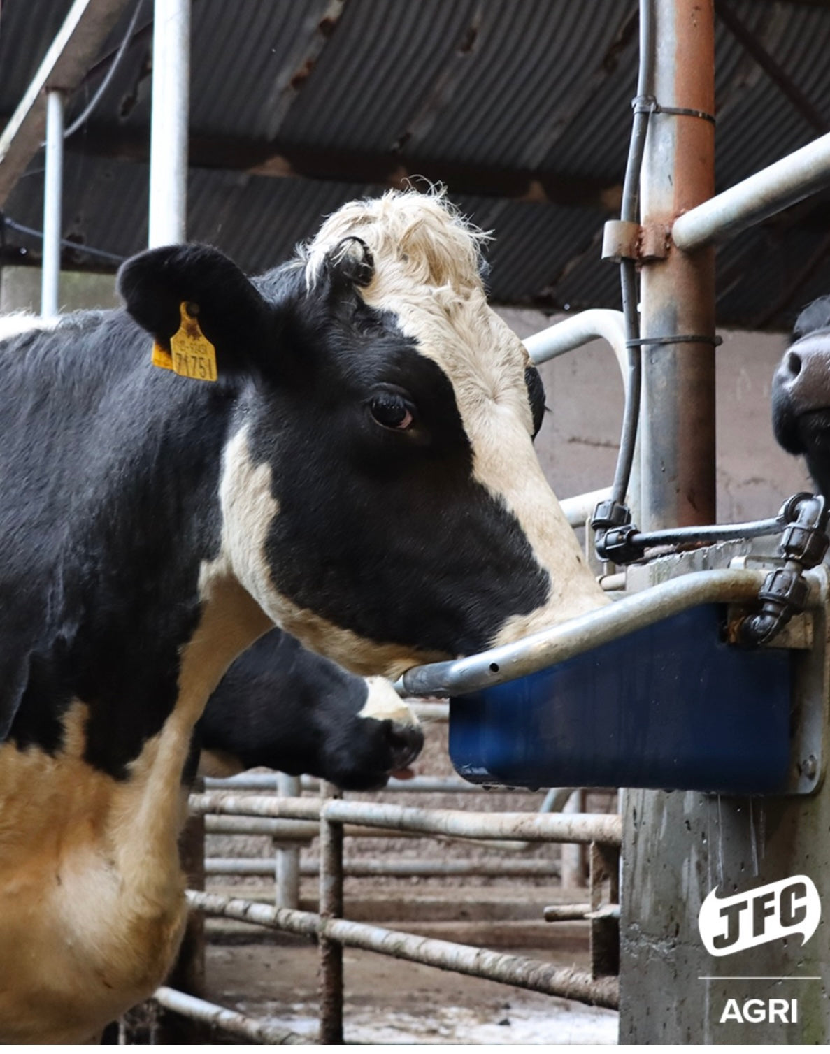Kipptränke  Doppelwandige Schwimmertränke