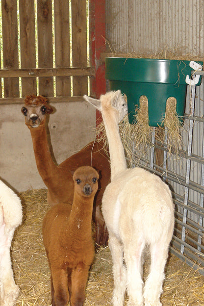 Heuraufe GFH01 – Gitterheuraufe Heufütterung für Pferde-Kälber