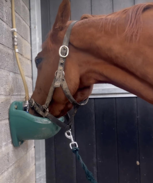 Pferdetränke- Rohrventiltränke doppelwandig- bruchsicher