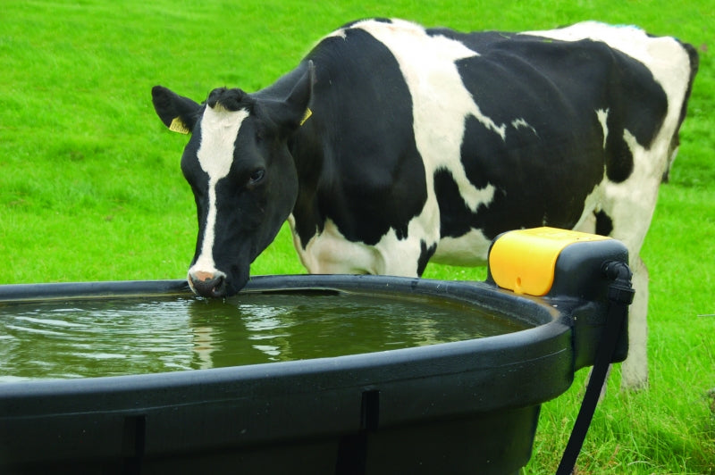 Oval Tränkebecken  Wasserversorgung für die Weide