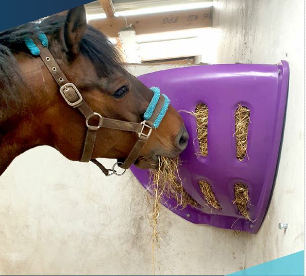 Eckheuraufe  – für Pferde aus Kunststoff für Stall und Trailer zum Sonderpreis