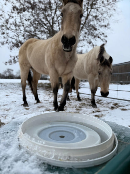 Frostschutztränke/ Frostschutzeimer / JFC Thermoeimer TED