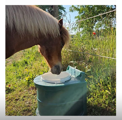Frostschutztränke/ Frostschutzeimer kühles Wasser im Sommer