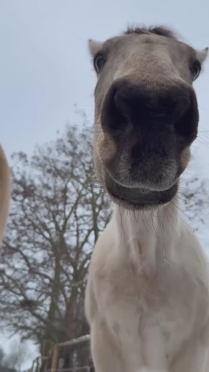 Frostschutztränke/ Frostschutzeimer / JFC Thermoeimer TED